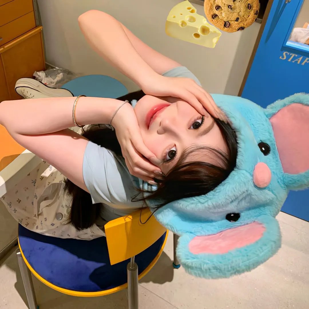 掌门女婿